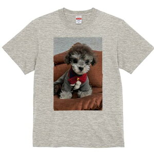 }`[Y,gCv[h TVc fB[X t@  t  vg JWA 킢 lԗp h ̃fUC ʔ  }`[Y,gCv[h NbV