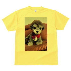 }`[Y,gCv[h TVc fB[X t@  t  vg JWA 킢 lԗp h ̃fUC ʔ  }`[Y,gCv[h NbV