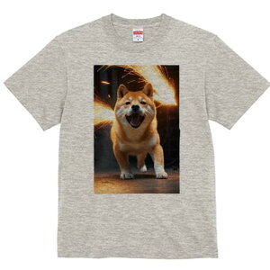 Č TVc fB[X t@  t  vg JWA 킢 lԗp h ̃fUC ʔ Xp[N Č Ή