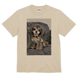 gCv[h TVc Y LbY t@  t  vg JWA 킢 lԗp h ̃fUC ʔ ʂ gCv[h NbV