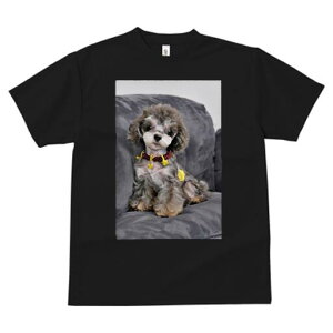 トイプードル Tシャツ レディース 犬ファン 半袖 春夏 犬柄 プリント カジュアル かわいい 人間用 個性派 ここだけのデザイン 面白 ぬいぐるみ トイプードル クッション