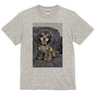 gCv[h TVc fB[X t@  t  vg JWA 킢 lԗp h ̃fUC ʔ ʂ gCv[h NbV