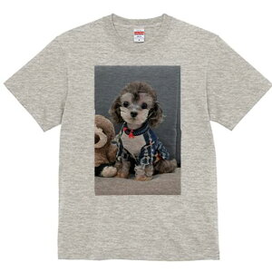 gCv[h TVc Y LbY t@  t  vg JWA 킢 lԗp h ̃fUC ʔ ʂ gCv[h 