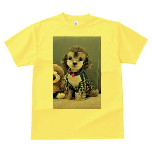 gCv[h TVc Y LbY t@  t  vg JWA 킢 lԗp h ̃fUC ʔ ʂ gCv[h 