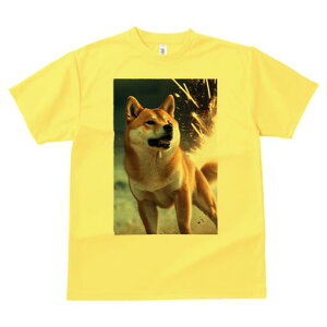 Č TVc fB[X t@  t  vg JWA 킢 lԗp h ̃fUC ʔ ԉ Č Xp[N