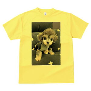 gCv[h TVc fB[X t@  t  vg JWA 킢 lԗp h ̃fUC ʔ  gCv[h 