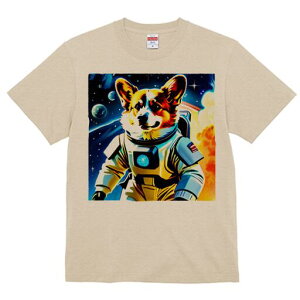 R[M[ TVc fB[X t@  t  vg JWA 킢 lԗp h ̃fUC ʔ F R[M[ F 