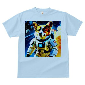 R[M[ TVc fB[X t@  t  vg JWA 킢 lԗp h ̃fUC ʔ F R[M[ F 