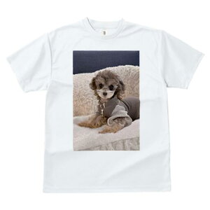 gCv[h TVc fB[X t@  t  vg JWA 킢 lԗp h ̃fUC ʔ  gCv[h