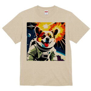 R[M[ TVc fB[X t@  t  vg JWA 킢 lԗp h ̃fUC ʔ F R[M[ Fsm Xy[X f