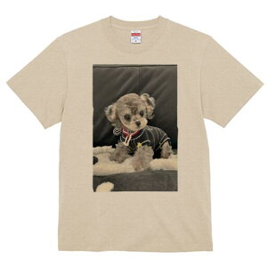 gCv[h TVc fB[X t@  t  vg JWA 킢 lԗp h ̃fUC ʔ ʂ gCv[h 