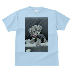 gCv[h TVc fB[X t@  t  vg JWA 킢 lԗp h ̃fUC ʔ ʂ gCv[h 