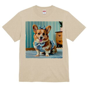 R[M[ TVc fB[X t@  t  vg JWA 킢 lԗp h ̃fUC ʔ { R[M[  Ƌ