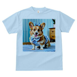 R[M[ TVc fB[X t@  t  vg JWA 킢 lԗp h ̃fUC ʔ { R[M[  Ƌ