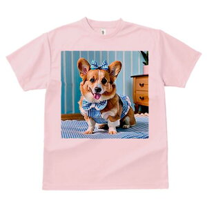 R[M[ TVc fB[X t@  t  vg JWA 킢 lԗp h ̃fUC ʔ { R[M[  Ƌ