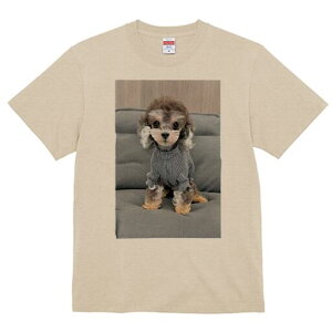 gCv[h TVc fB[X t@  t  vg JWA 킢 lԗp h ̃fUC ʔ  gCv[h XgCv