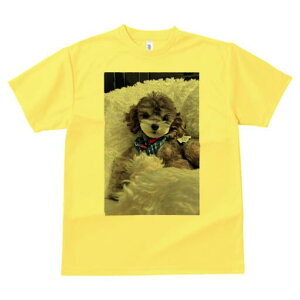 gCv[h TVc fB[X t@  t  vg JWA 킢 lԗp h ̃fUC ʔ ӂӂ gCv[h NbV o_i