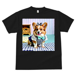 R[M[ TVc fB[X t@  t  vg JWA 킢 lԗp h ̃fUC ʔ `FbN R[M[ { s[X hbOEFA