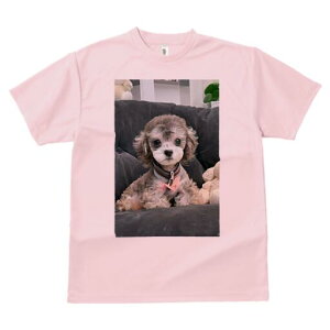 }v[ TVc fB[X t@  t  vg JWA 킢 lԗp h ̃fUC ʔ ʂ }v[ \t@