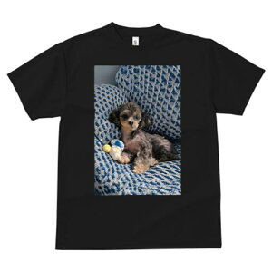 gCv[h TVc fB[X t@  t  vg JWA 킢 lԗp h ̃fUC ʔ ʂ gCv[h