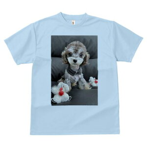 gCv[h TVc fB[X t@  t  vg JWA 킢 lԗp h ̃fUC ʔ ʂ gCv[h