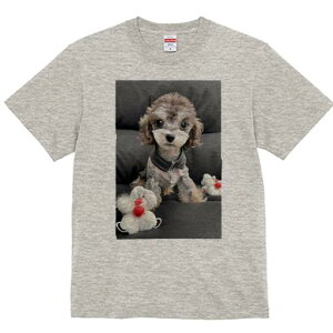 gCv[h TVc fB[X t@  t  vg JWA 킢 lԗp h ̃fUC ʔ ʂ gCv[h