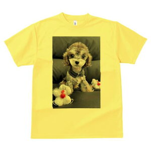 トイプードル Tシャツ レディース 犬ファン 半袖 春夏 犬柄 プリント カジュアル かわいい 人間用 個性派 ここだけのデザイン 面白 ぬいぐるみ トイプードル
