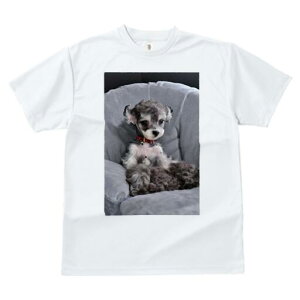 ~j`AViEU[ TVc fB[X t@  t  vg JWA 킢 lԗp h ̃fUC ʔ pxbh ~j`AViEU[ ybgp