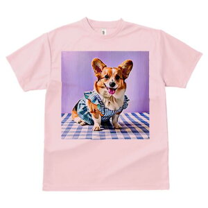 R[M[ TVc fB[X t@  t  vg JWA 킢 lԗp h ̃fUC ʔ `FbN R[M[ 