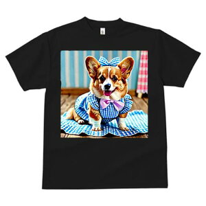 R[M[ TVc fB[X t@  t  vg JWA 킢 lԗp h ̃fUC ʔ { R[M[ MK`FbN s[X