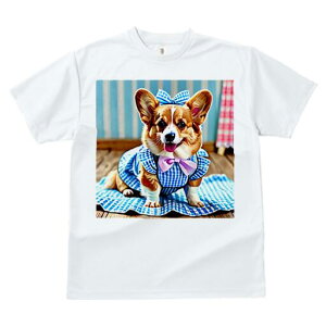 R[M[ TVc fB[X t@  t  vg JWA 킢 lԗp h ̃fUC ʔ { R[M[ MK`FbN s[X