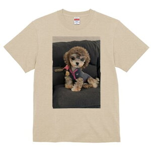 }`[Y,gCv[h TVc fB[X t@  t  vg JWA 킢 lԗp h ̃fUC ʔ Z[^[ }`[Y,gCv[h \t@