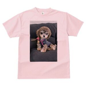 }`[Y,gCv[h TVc fB[X t@  t  vg JWA 킢 lԗp h ̃fUC ʔ Z[^[ }`[Y,gCv[h \t@