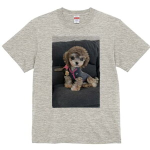 }`[Y,gCv[h TVc fB[X t@  t  vg JWA 킢 lԗp h ̃fUC ʔ Z[^[ }`[Y,gCv[h \t@