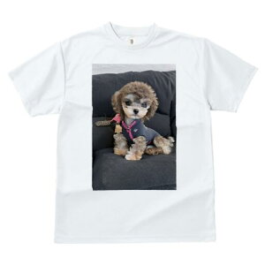 }`[Y,gCv[h TVc fB[X t@  t  vg JWA 킢 lԗp h ̃fUC ʔ Z[^[ }`[Y,gCv[h \t@