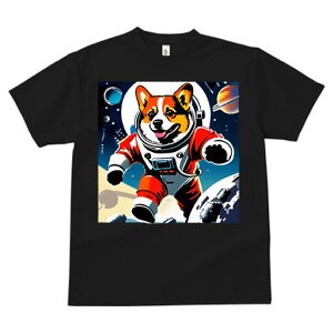 R[M[ TVc fB[X t@  t  vg JWA 킢 lԗp h ̃fUC ʔ F R[M[ F f