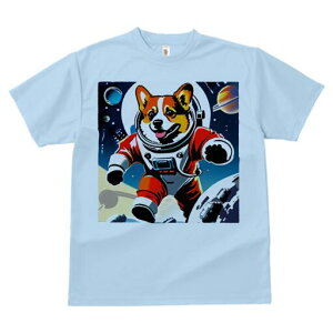 R[M[ TVc fB[X t@  t  vg JWA 킢 lԗp h ̃fUC ʔ F R[M[ F f