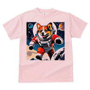 R[M[ TVc fB[X t@  t  vg JWA 킢 lԗp h ̃fUC ʔ F R[M[ F f