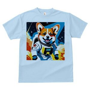 R[M[ TVc fB[X t@  t  vg JWA 킢 lԗp h ̃fUC ʔ F R[M[ F Xy[X Pbg