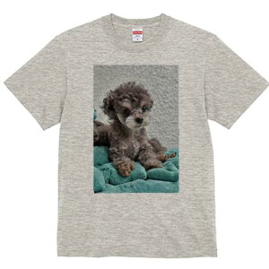 gCv[h TVc fB[X t@  t  vg JWA 킢 lԗp h ̃fUC ʔ ʂ gCv[h NbV