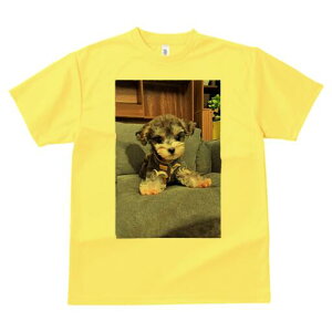 }`[Y,[NV[eA TVc fB[X t@  t  vg JWA 킢 lԗp h ̃fUC ʔ \t@ }`[Y,[NV[eA 