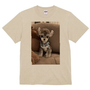 ~j`AViEU[ TVc fB[X t@  t  vg JWA 킢 lԗp h ̃fUC ʔ ʂ ~j`AViEU[ 