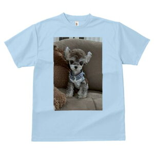 ~j`AViEU[ TVc fB[X t@  t  vg JWA 킢 lԗp h ̃fUC ʔ ʂ ~j`AViEU[ 