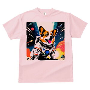 R[M[ TVc fB[X t@  t  vg JWA 킢 lԗp h ̃fUC ʔ F R[M[ F Xy[X