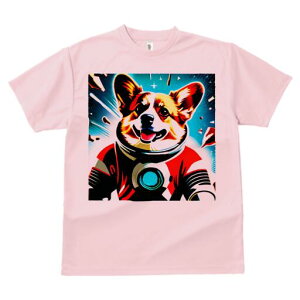 R[M[ TVc fB[X t@  t  vg JWA 킢 lԗp h ̃fUC ʔ F R[M[ Xy[X F 