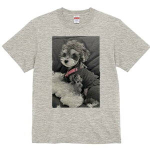 ~j`AViEU[,gCv[h TVc fB[X t@  t  vg JWA 킢 lԗp h ̃fUC ʔ  ~j`AViEU[,g