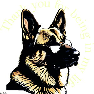 Kl W[}VFp[hhbO NbVJo[ 45×45cm Aj}   NbV{̕t ` t@