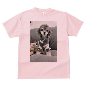 gCv[h TVc fB[X t@  t  vg JWA 킢 lԗp h ̃fUC ʔ ʂ gCv[h 