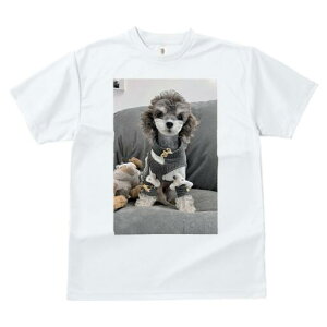 gCv[h TVc Y LbY t@  t  vg JWA 킢 lԗp h ̃fUC ʔ ʂ gCv[h 