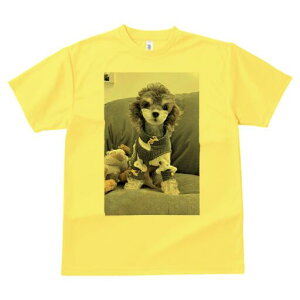 gCv[h TVc Y LbY t@  t  vg JWA 킢 lԗp h ̃fUC ʔ ʂ gCv[h 